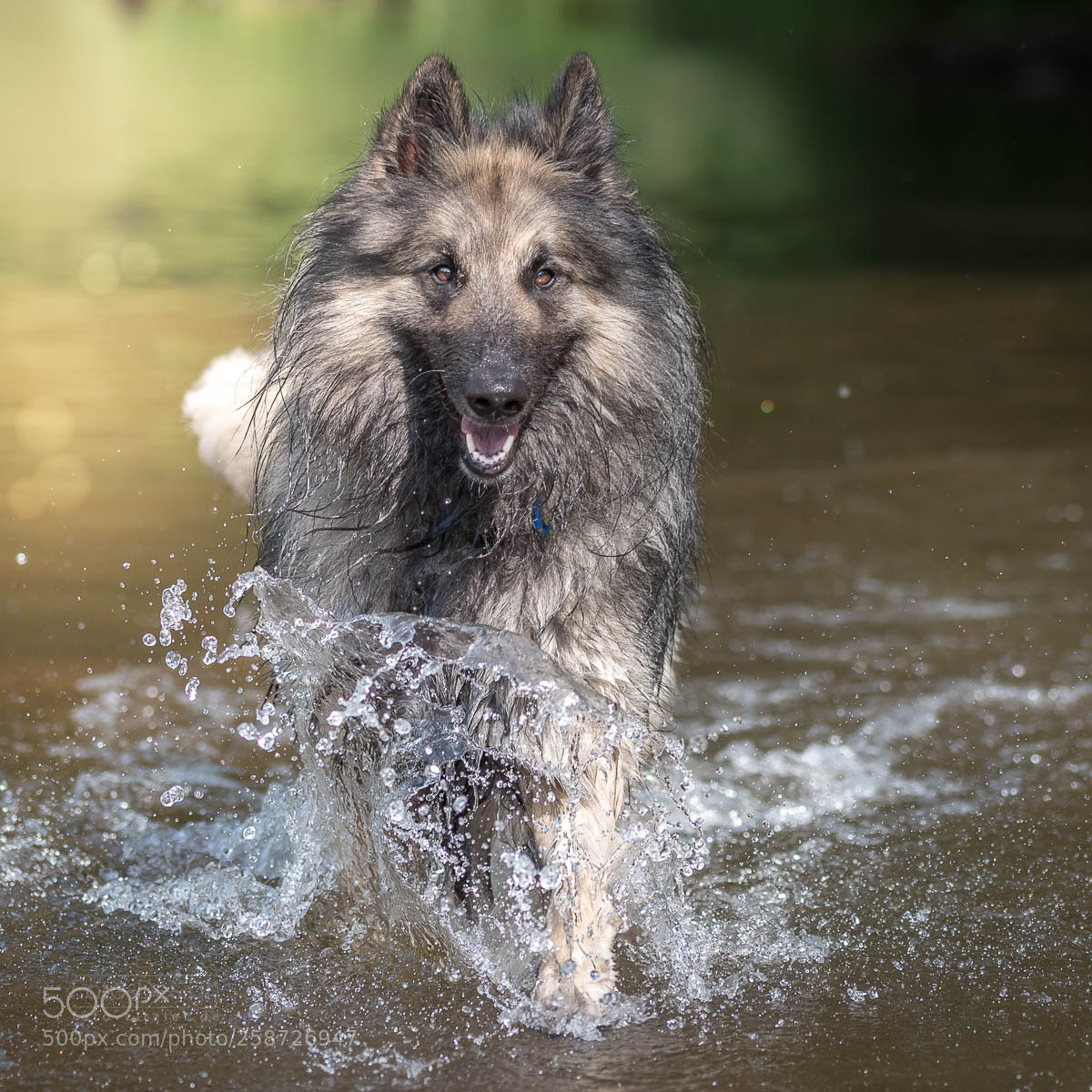 Nikon D750 sample photo. Enjoy wet feet photography