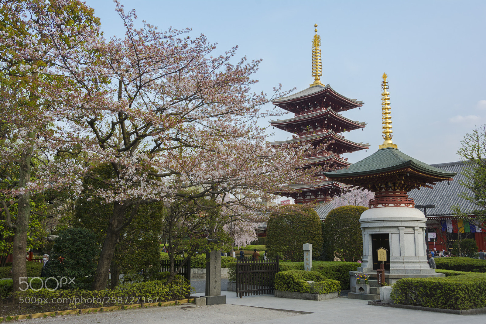 Nikon D7100 sample photo. Sensoji temple photography