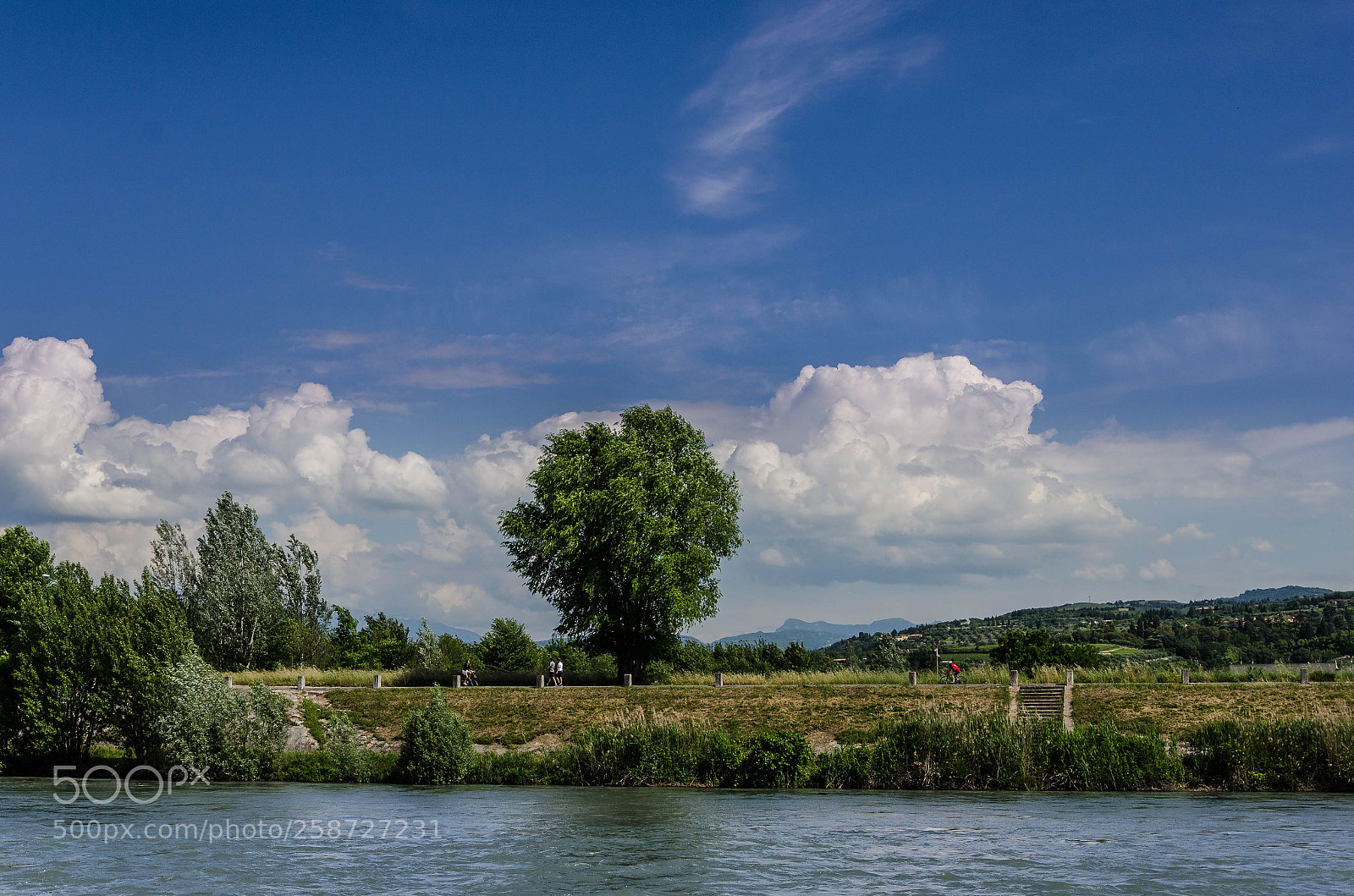 Nikon D7000 sample photo. Along the river photography