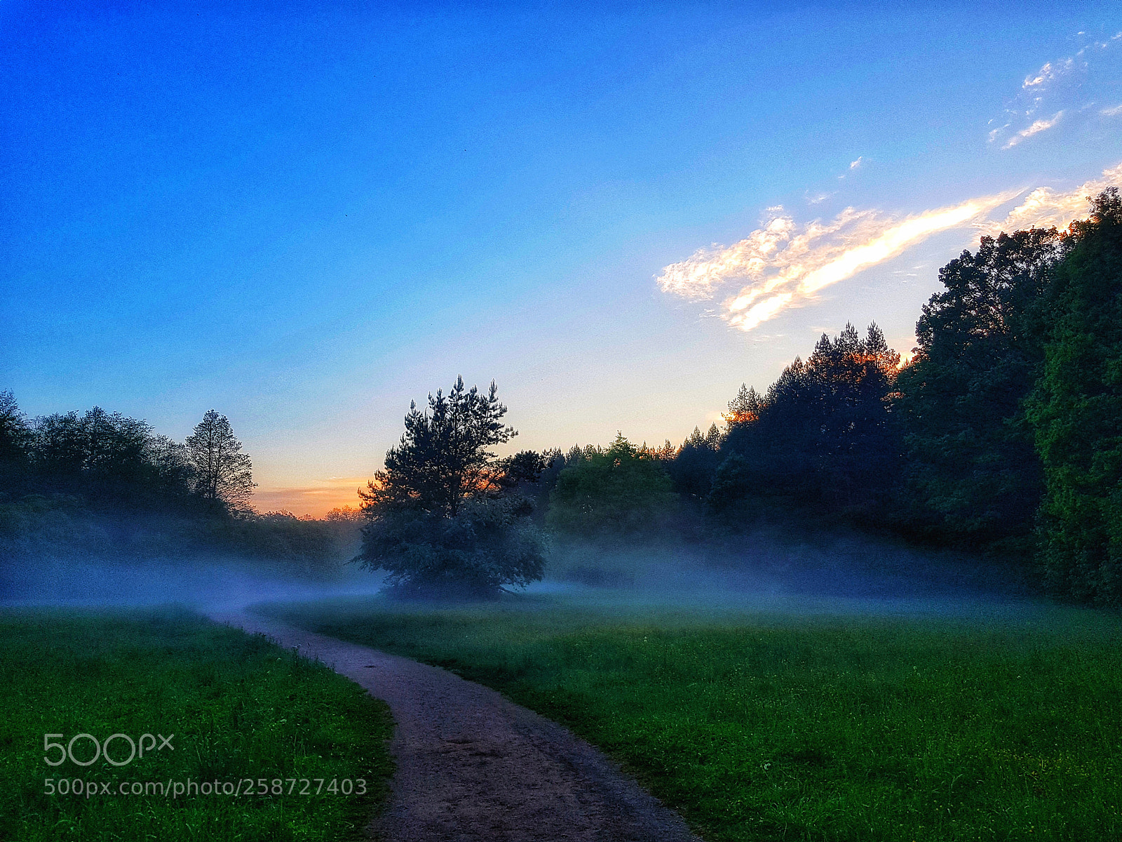 Samsung Galaxy S8+ sample photo. Kažkasdaugiau photography