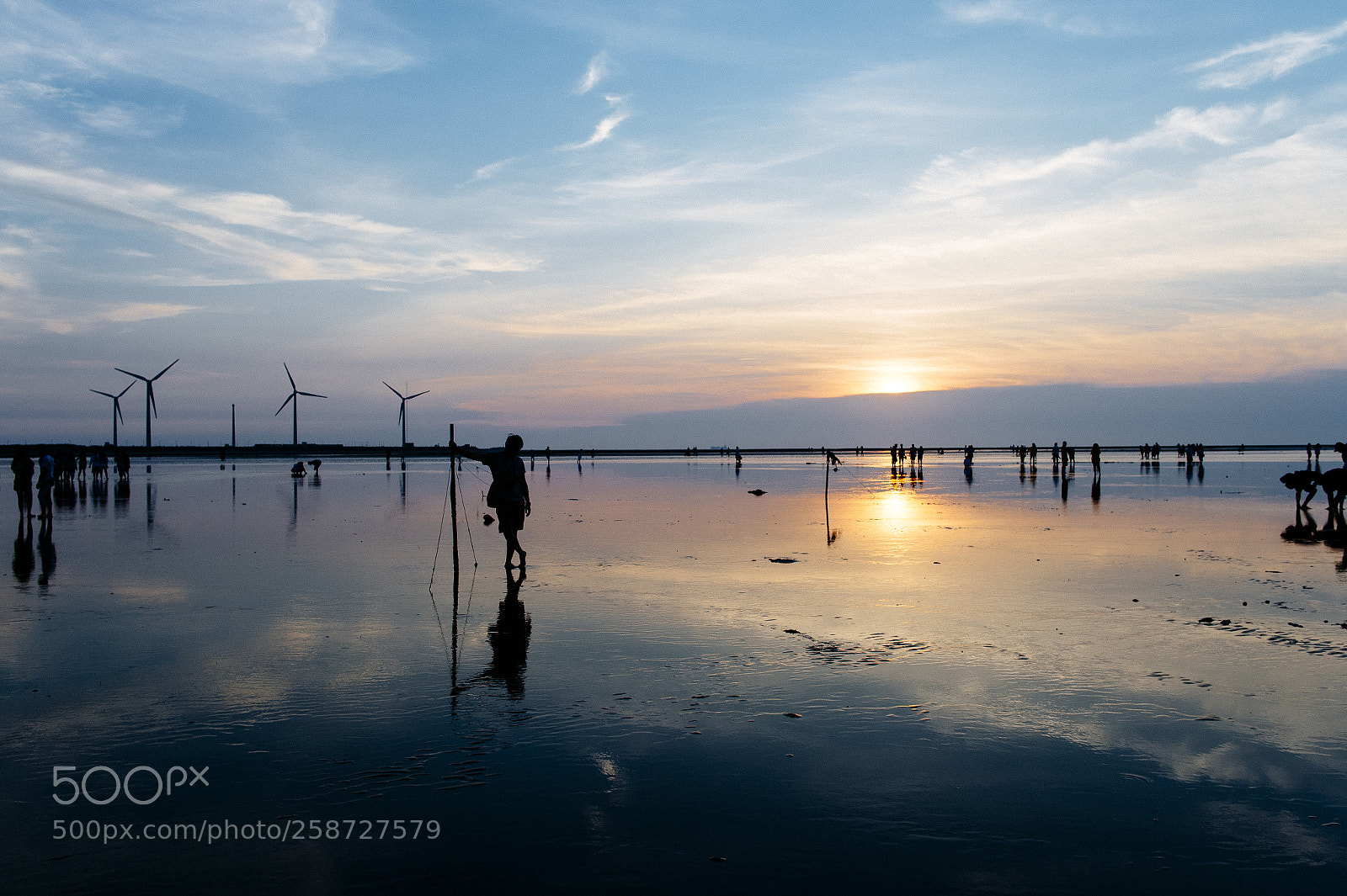 Nikon Df sample photo. Taichung county gaomei wetlands photography