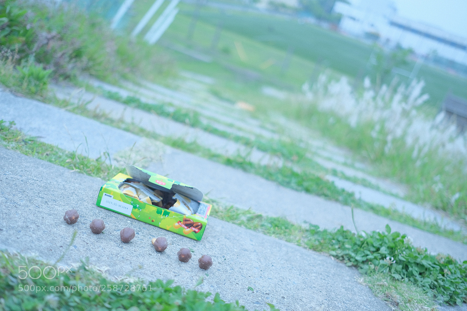 Fujifilm X-Pro2 sample photo. Dutch angle photography