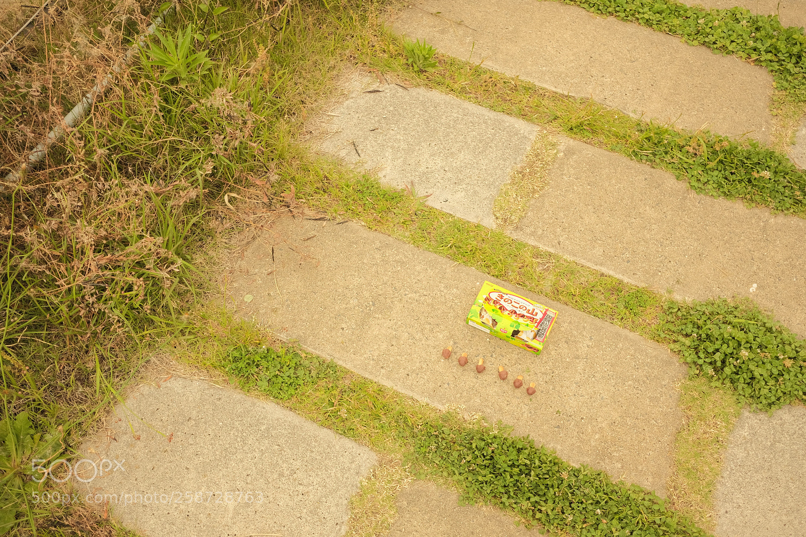 Fujifilm X-Pro2 sample photo. Bird's angle photography