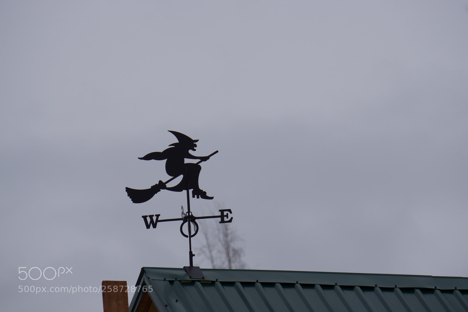 Sony a6000 sample photo. Ragana photography