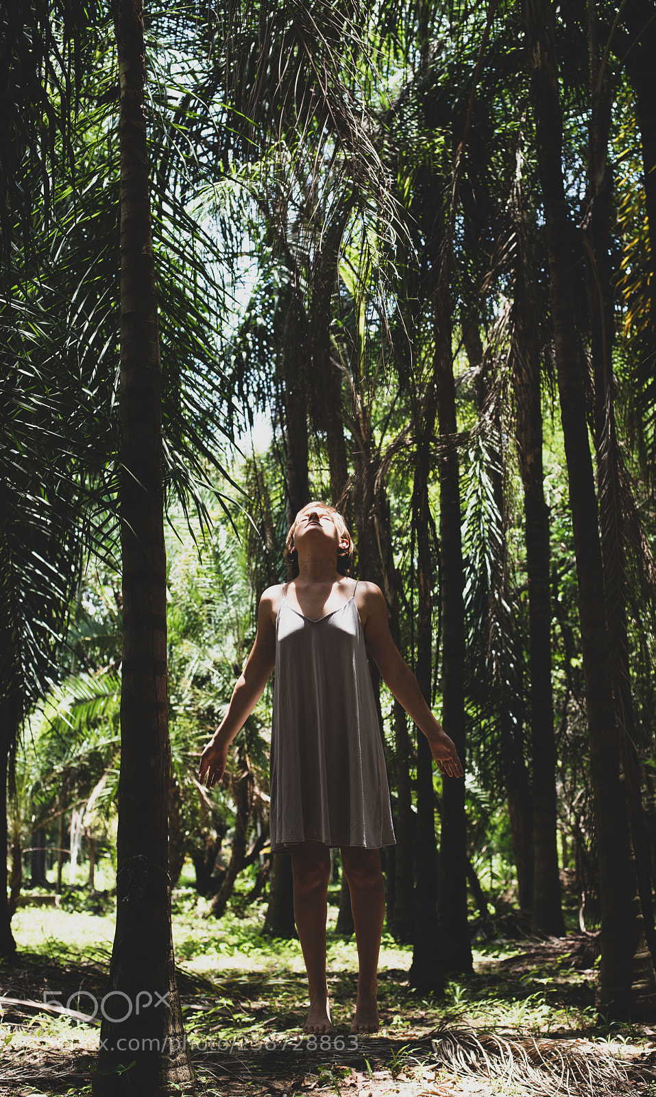 Nikon D810 sample photo. Ascension photography