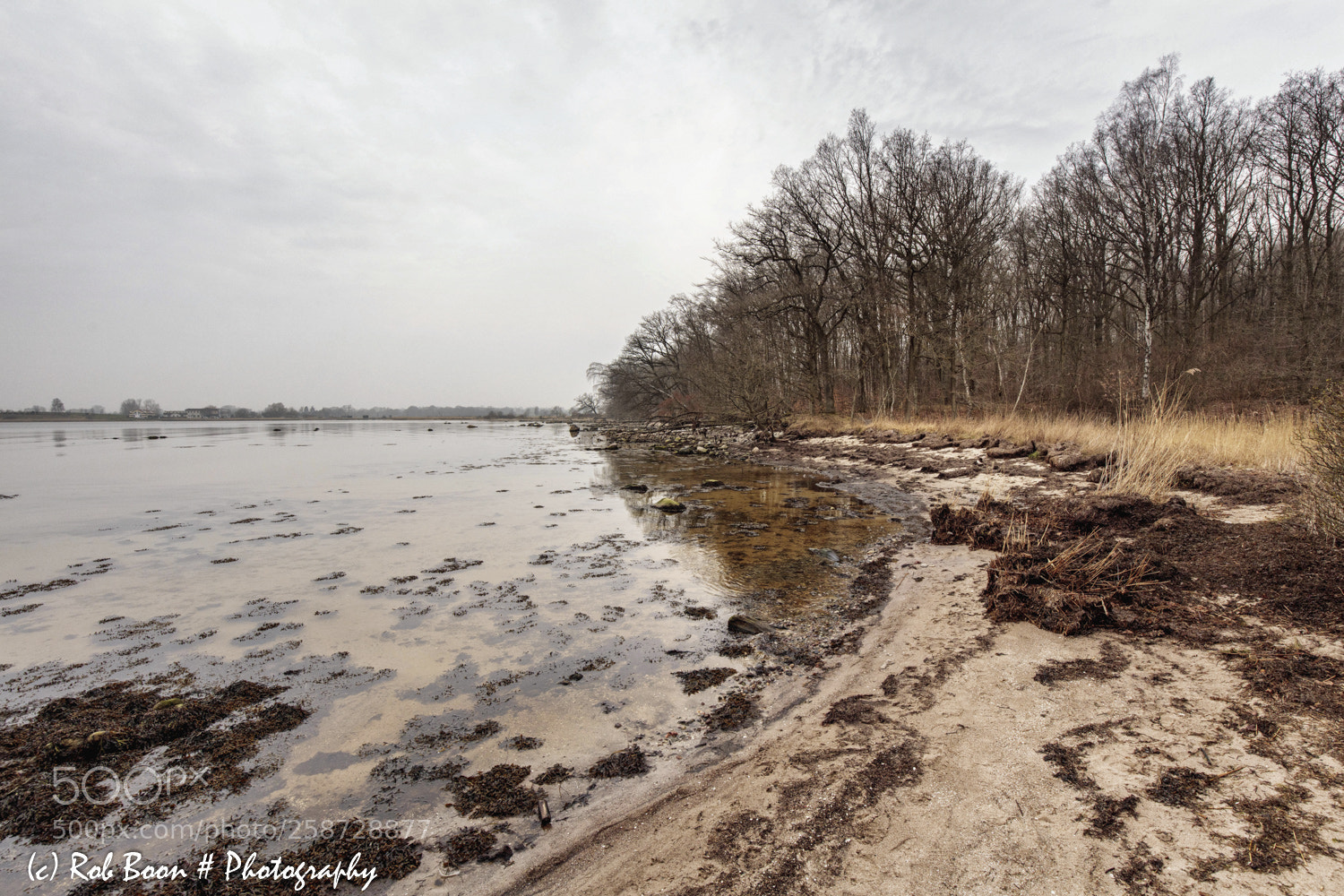 Canon EOS 5DS sample photo. Greifswalder bodden lauterbach r photography