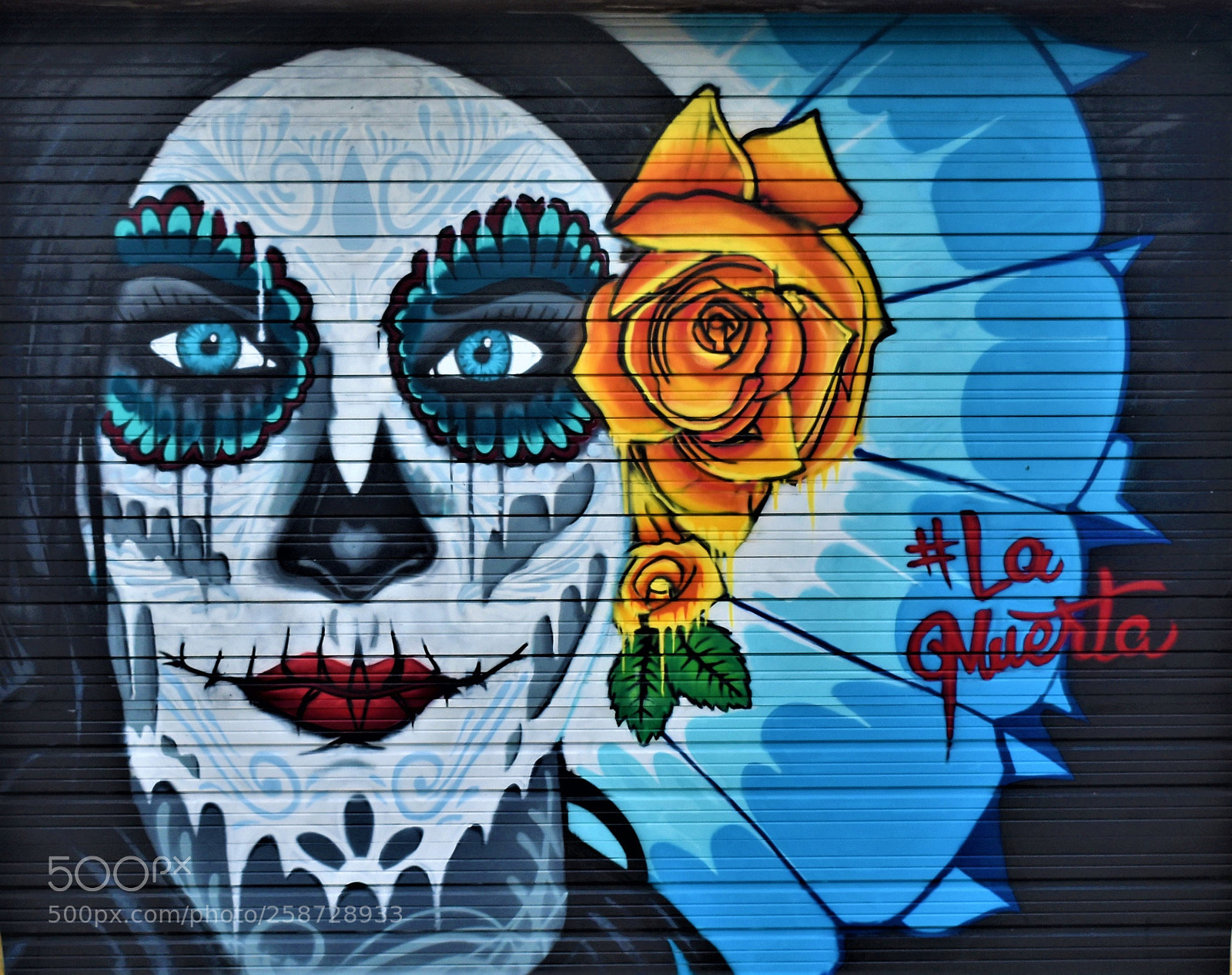 Nikon D3400 sample photo. Street art san antonio photography
