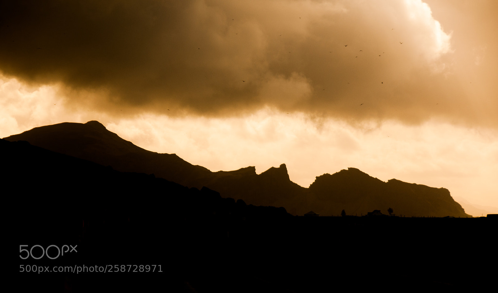 Nikon D300S sample photo. Varmahlíð, iceland photography