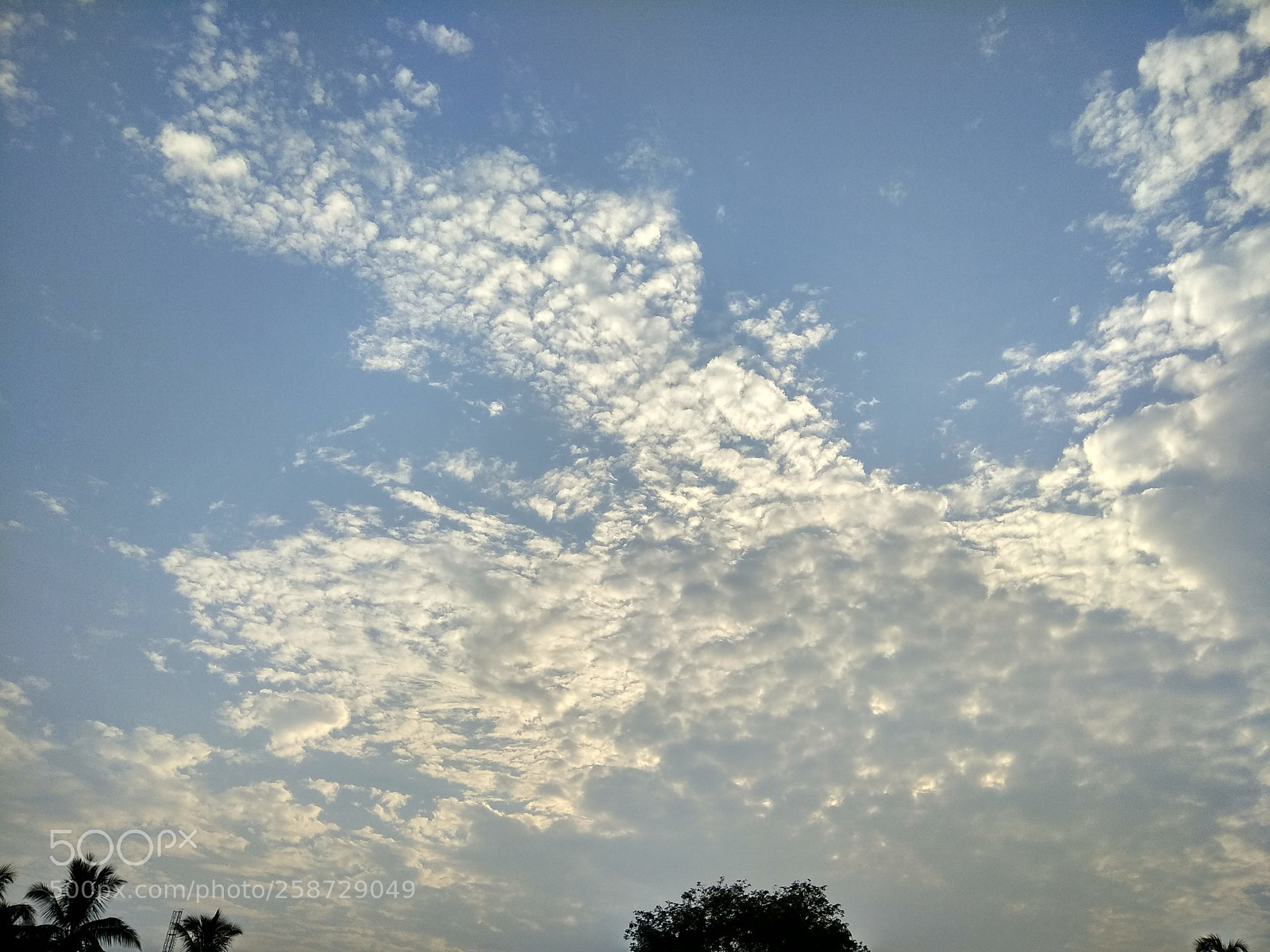 Xiaomi Redmi Note 4 sample photo. Untitled photography