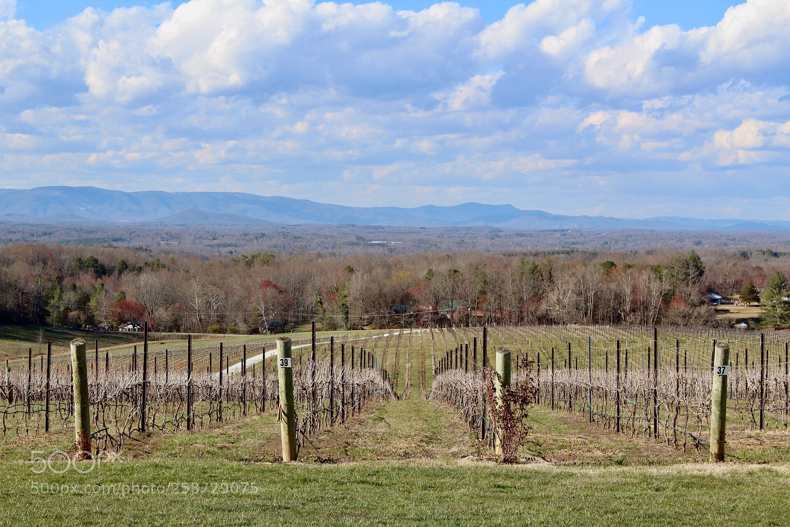 Canon EOS 1300D (EOS Rebel T6 / EOS Kiss X80) sample photo. Wine lovers unite photography