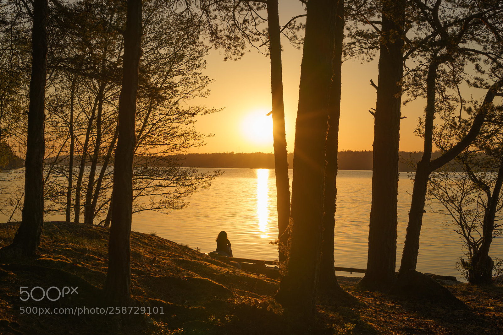 Sony a7 II sample photo. Golden hour photography