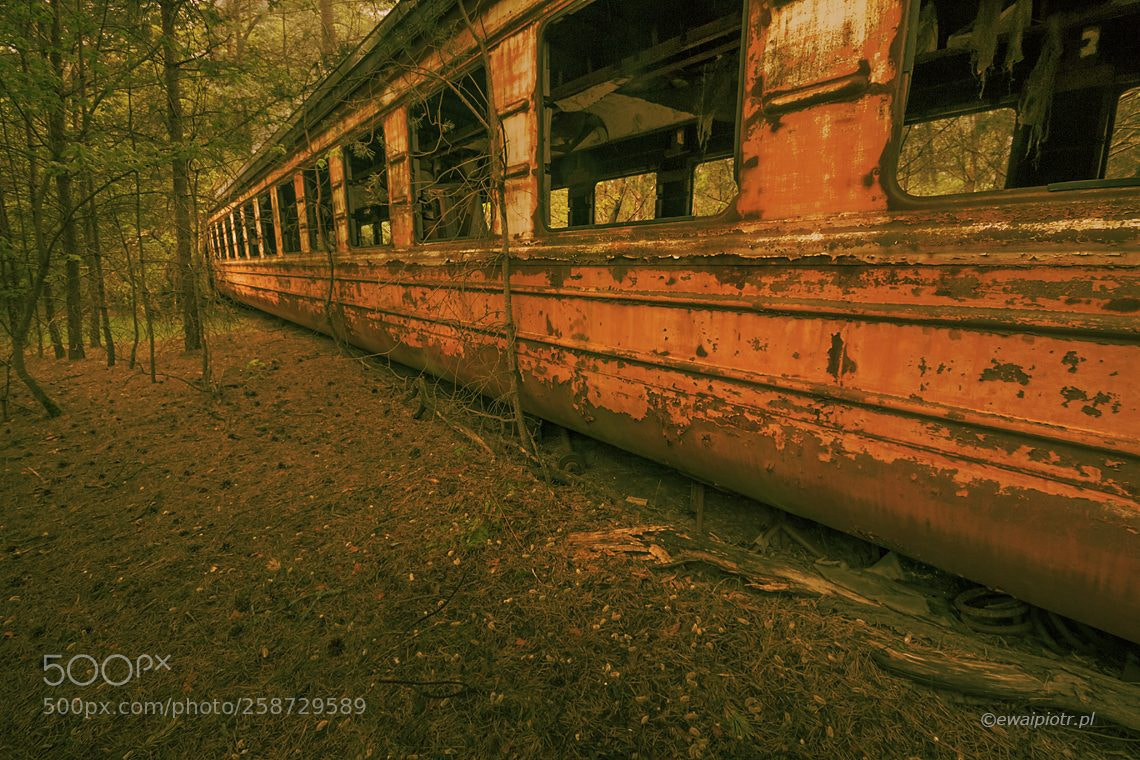 Canon EOS 7D Mark II sample photo. Lost train after apocalypse photography