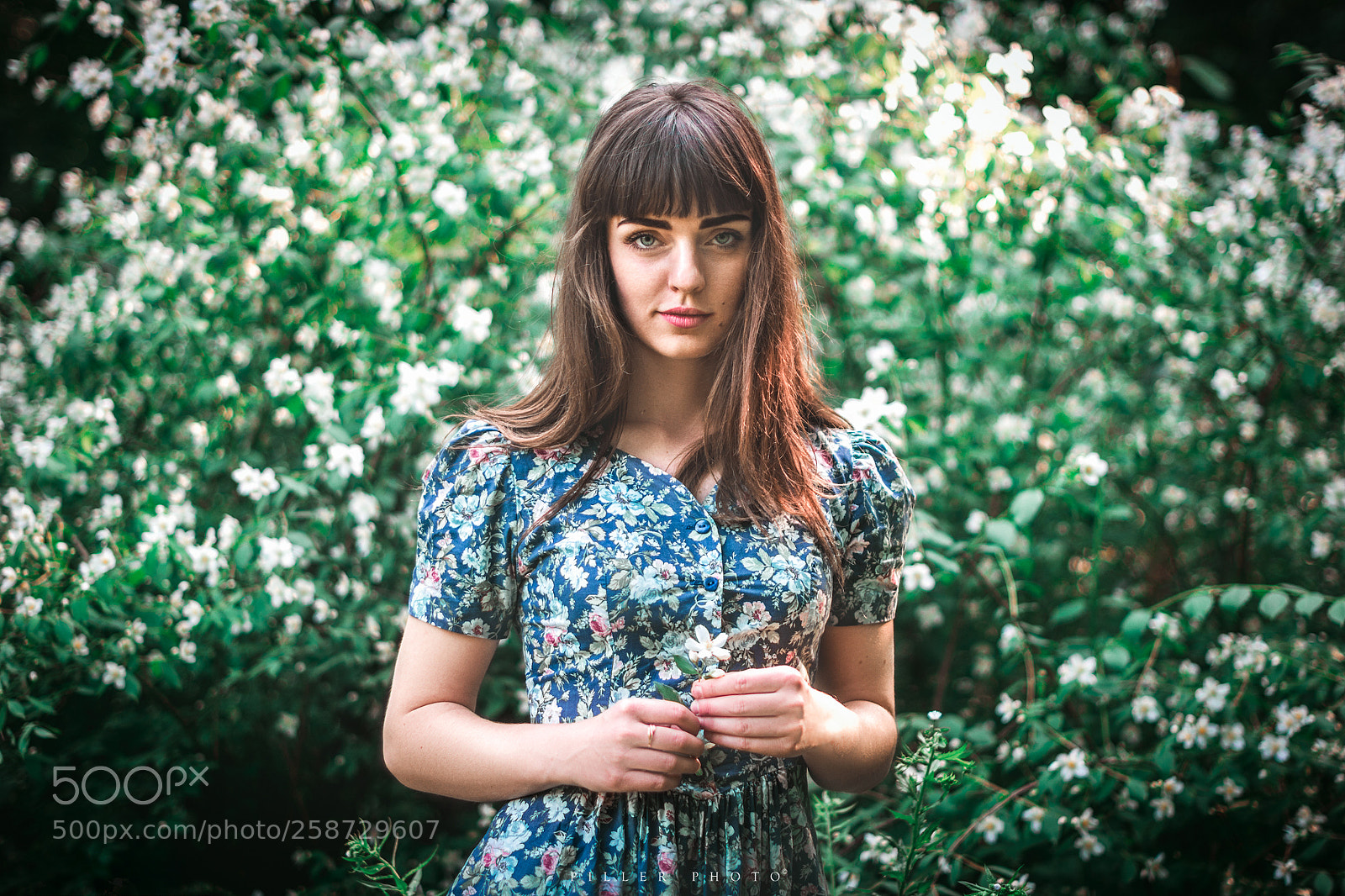 Nikon D7100 sample photo. Flowers photography