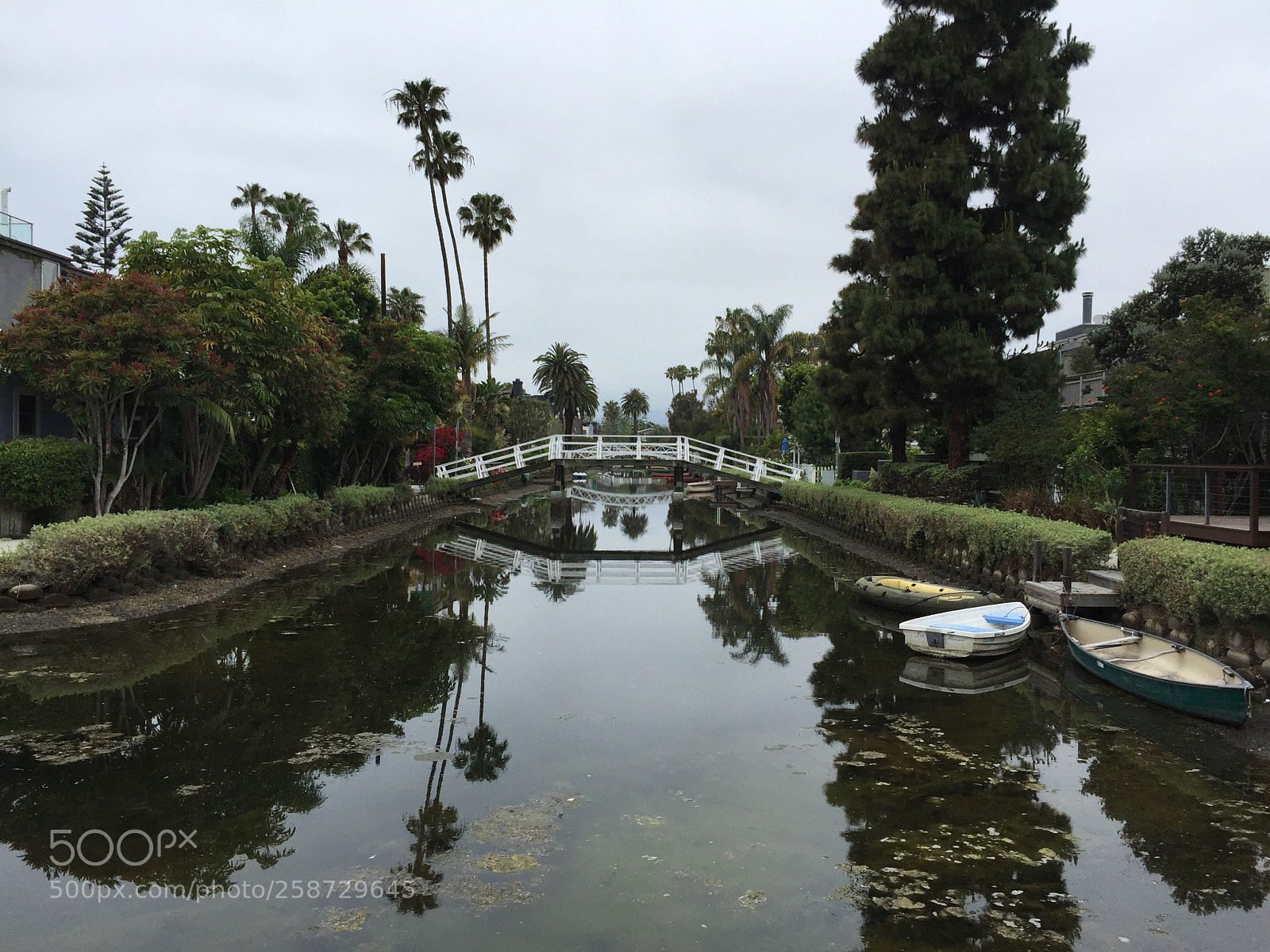 Apple iPhone 6 Plus sample photo. Venice beach photography