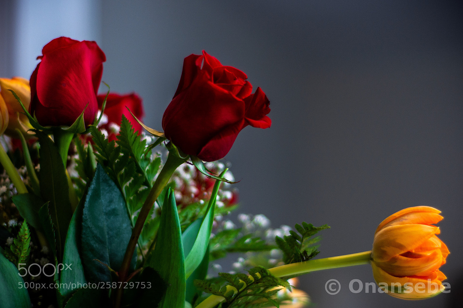 Nikon D5200 sample photo. Flores photography