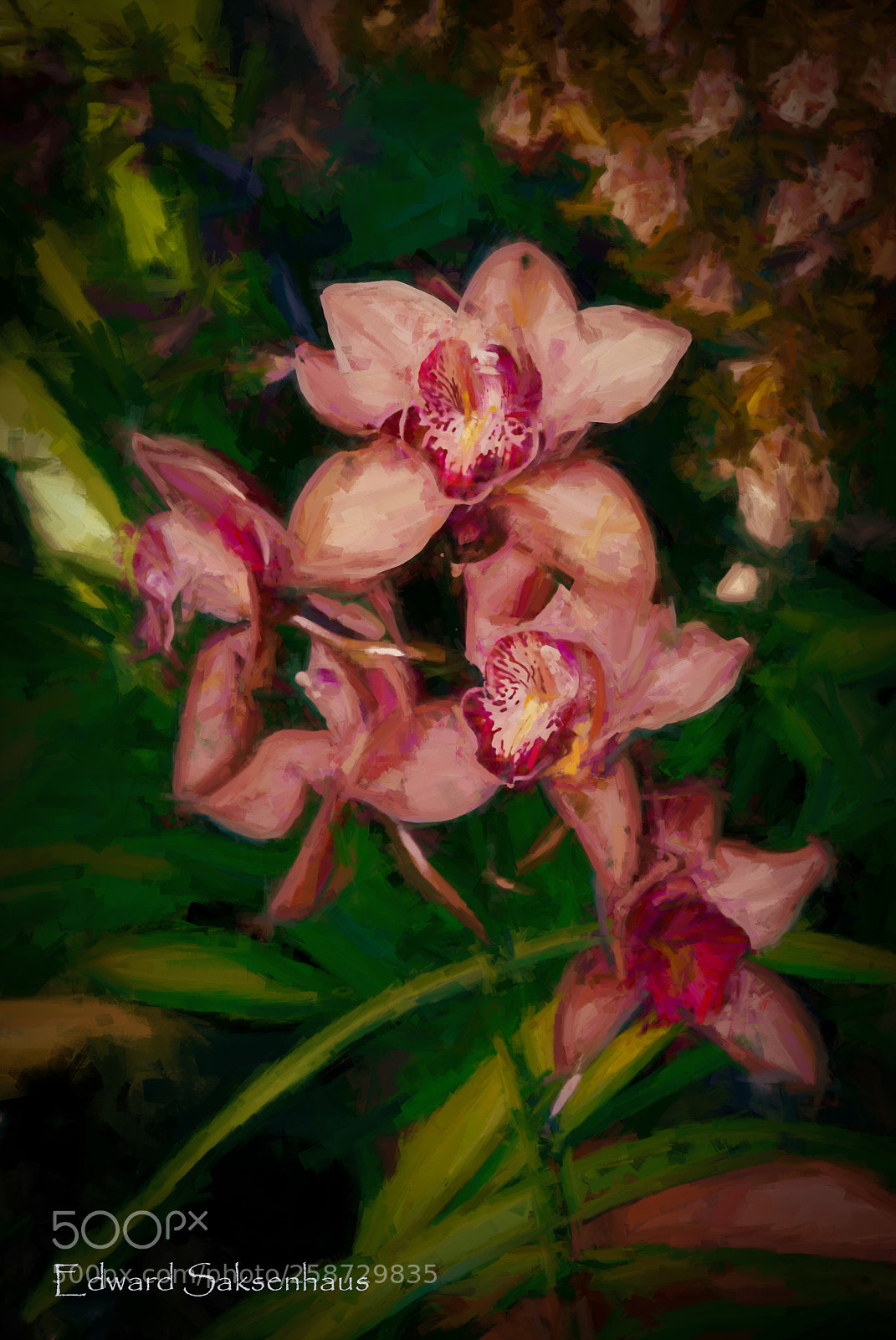 Nikon D200 sample photo. Orchids photography