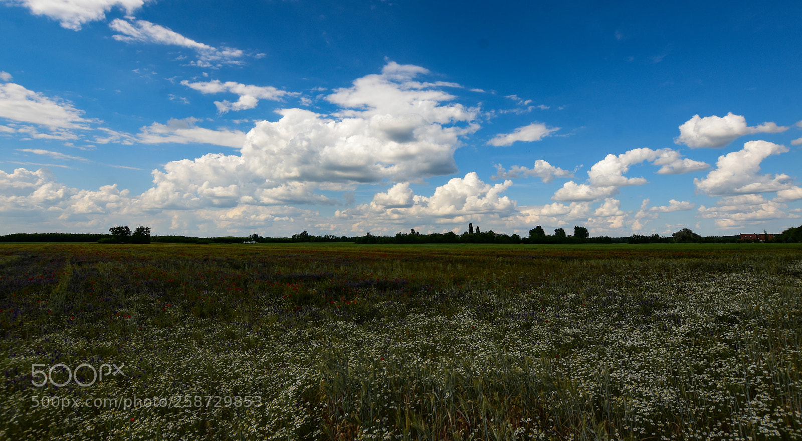 Nikon D7200 sample photo. Untitled photography