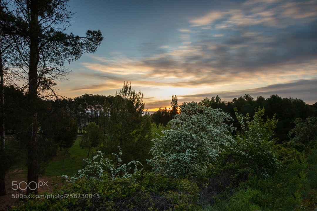 Canon EOS 80D sample photo. Amanece en logroño photography
