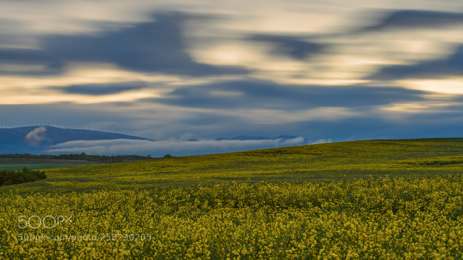 Sony a7R II sample photo. Clouds & rapeseed fields photography