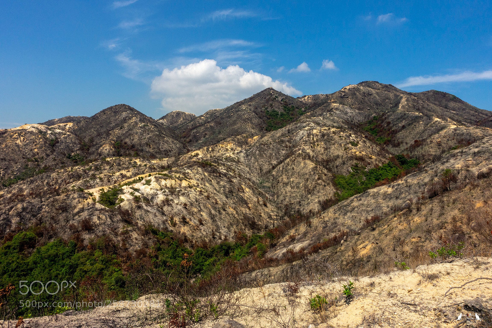 Sony Cyber-shot DSC-RX100 III sample photo. Why hill fires occur photography