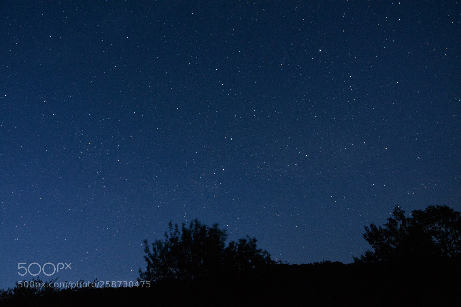 Nikon D5200 sample photo. Night sky photography