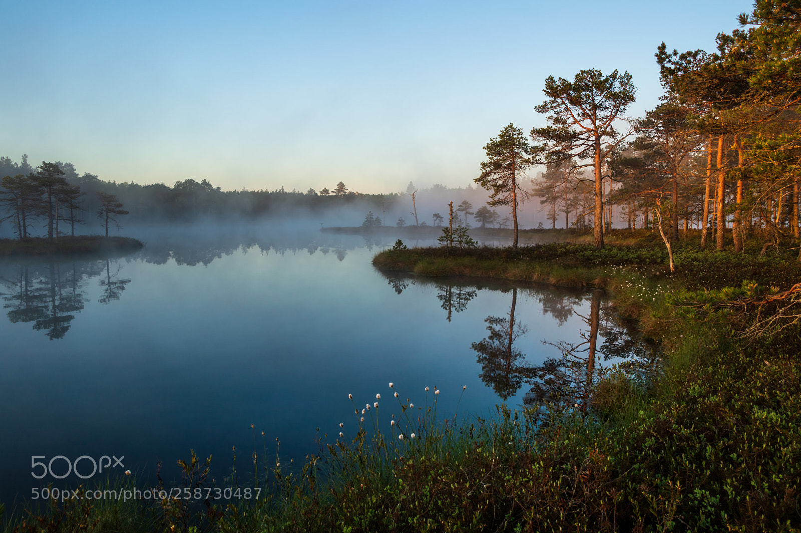 Nikon D3200 sample photo. Good morning estonia! photography