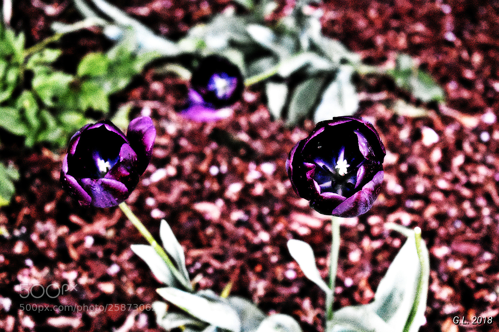 Nikon D3400 sample photo. Untitled photography