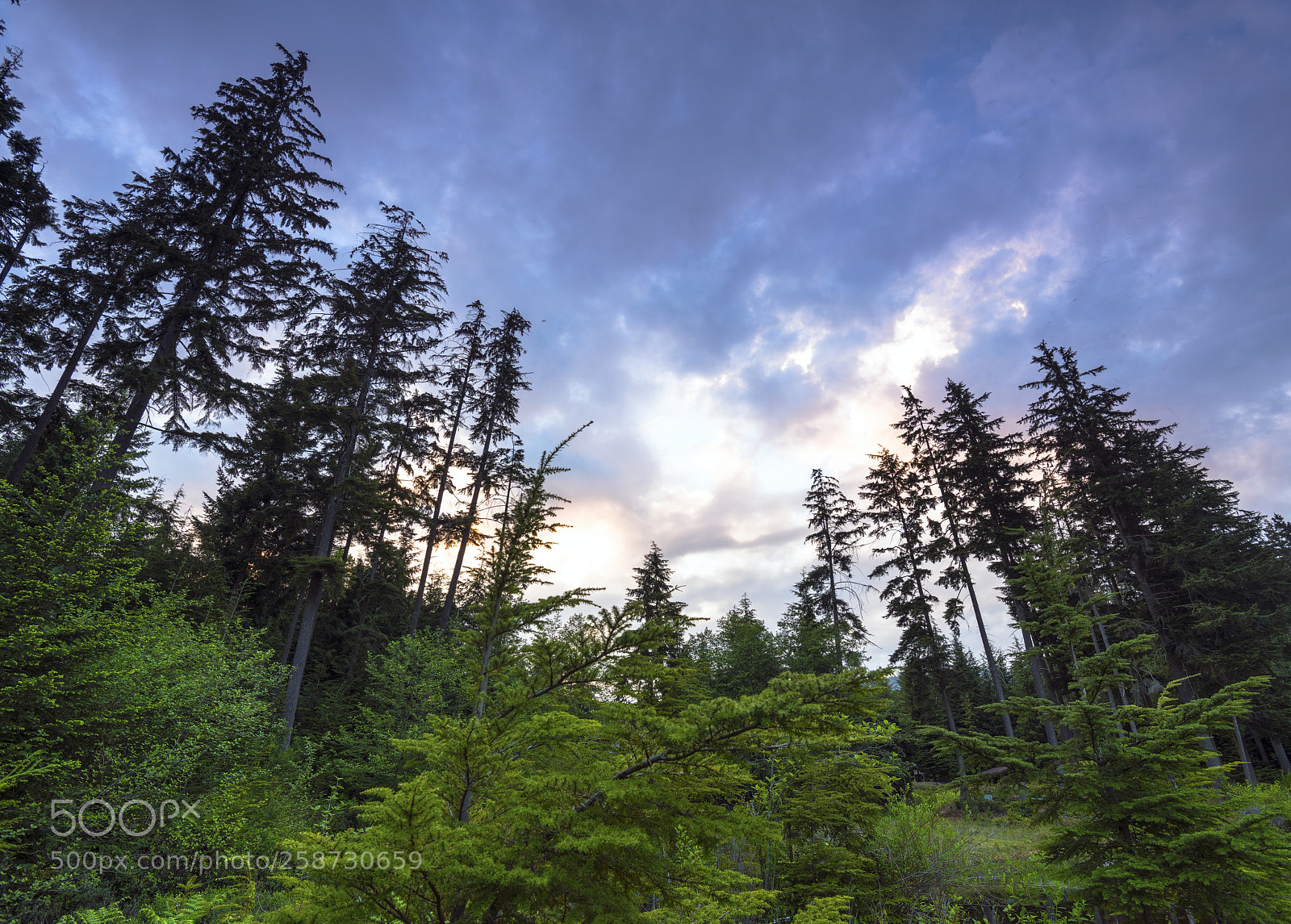 Nikon D850 sample photo. Deep sky photography