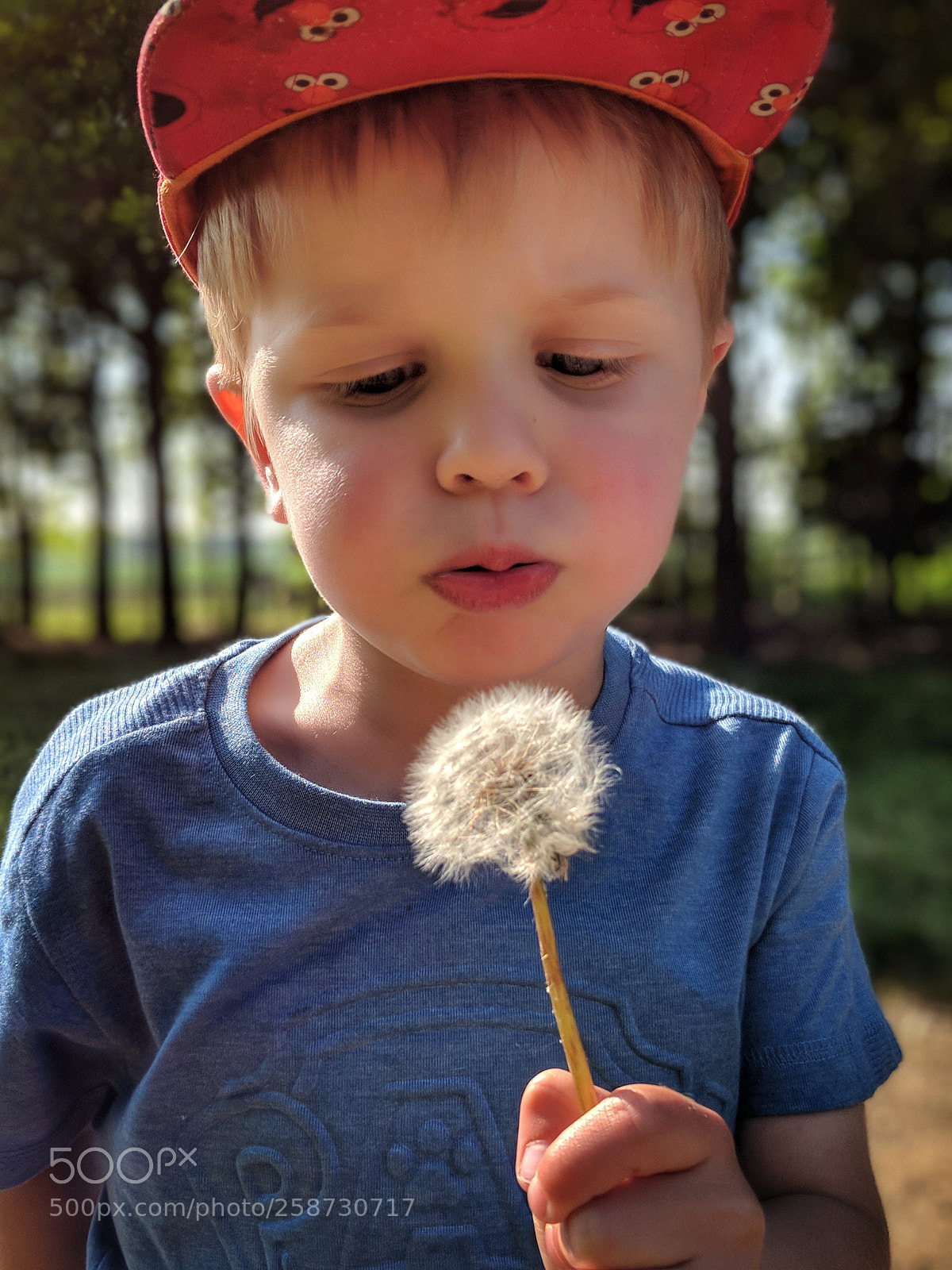 Google Pixel 2 sample photo. Untitled photography