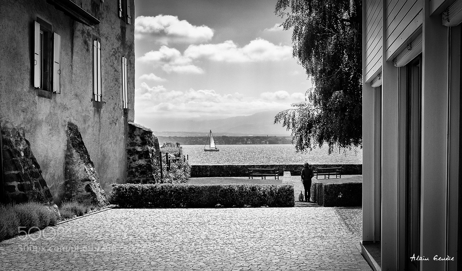 Leica Q (Typ 116) sample photo. Coppet photography