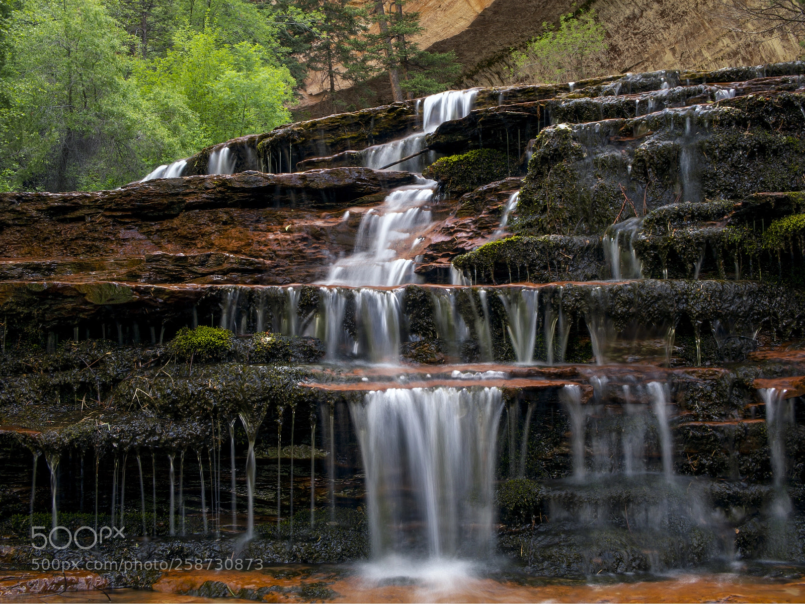 Olympus OM-D E-M5 sample photo. Zion national park, the photography