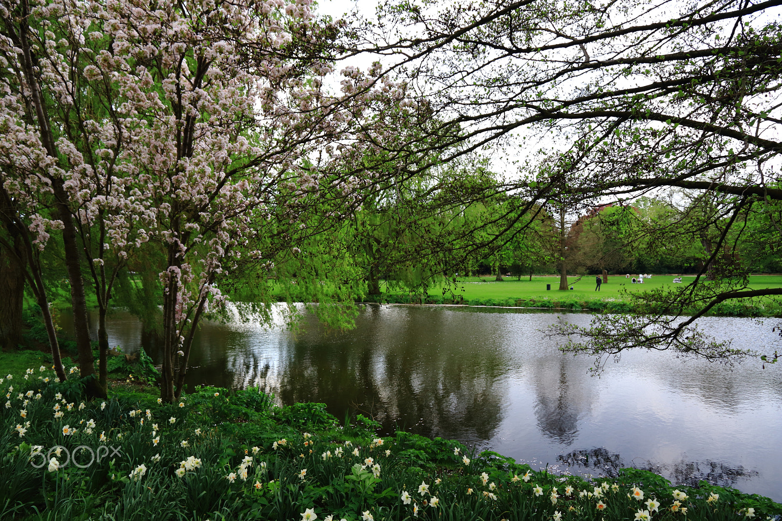 Canon EOS 80D sample photo. Alster park photography
