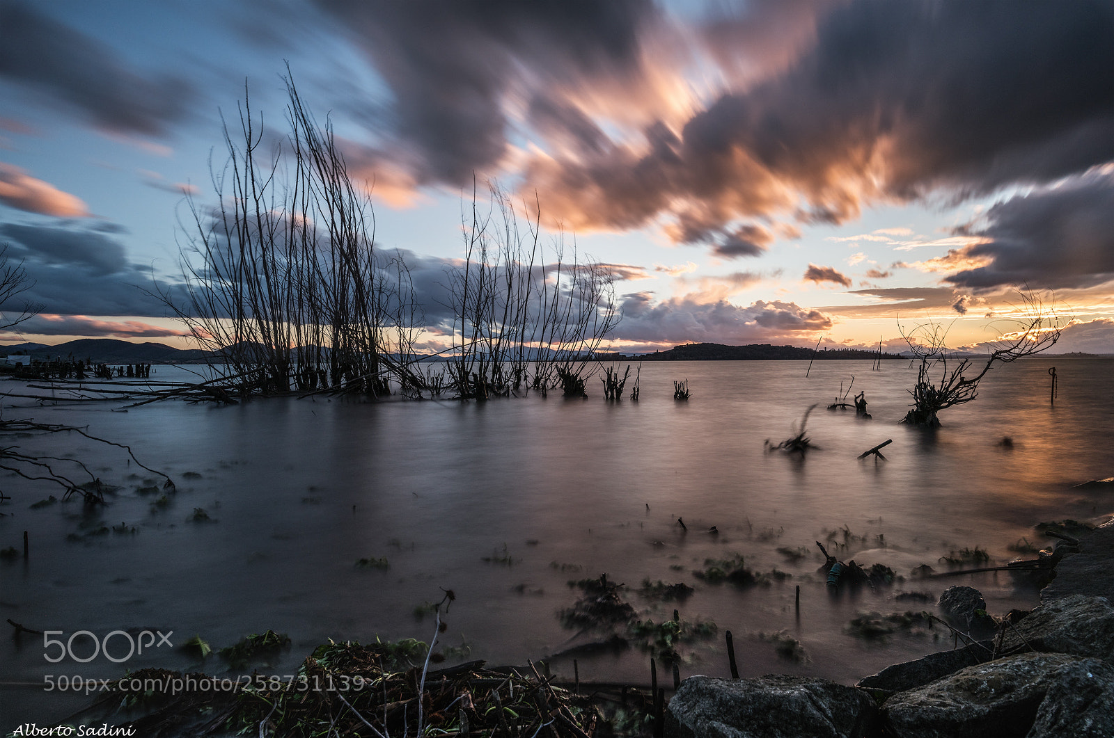 Nikon D750 sample photo. Trasimeno lake photography