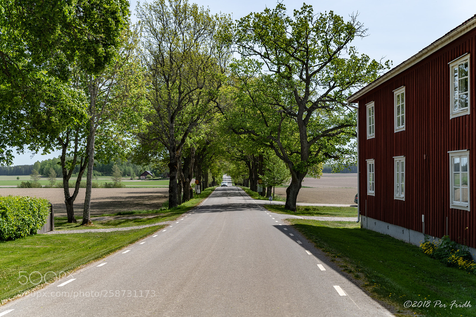Nikon D850 sample photo. Country road photography