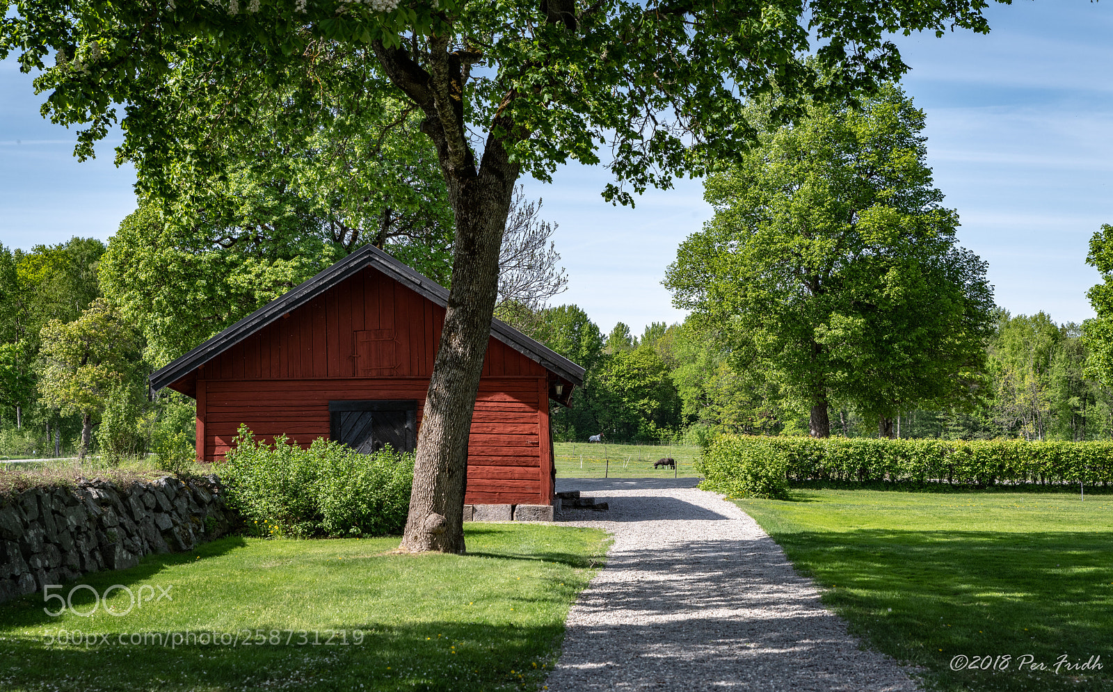 Nikon D850 sample photo. Old house photography