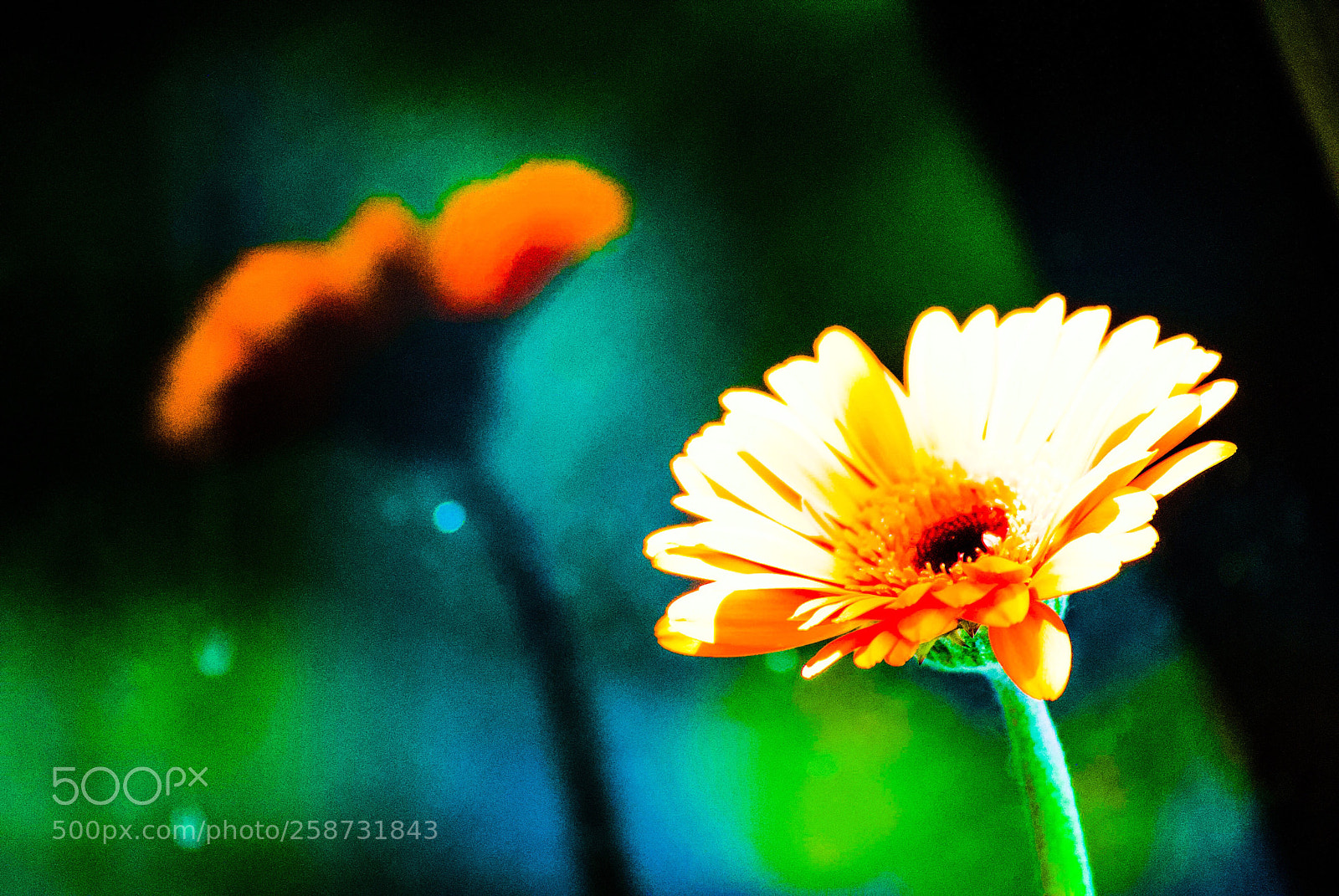 Nikon D3000 sample photo. Untitled photography