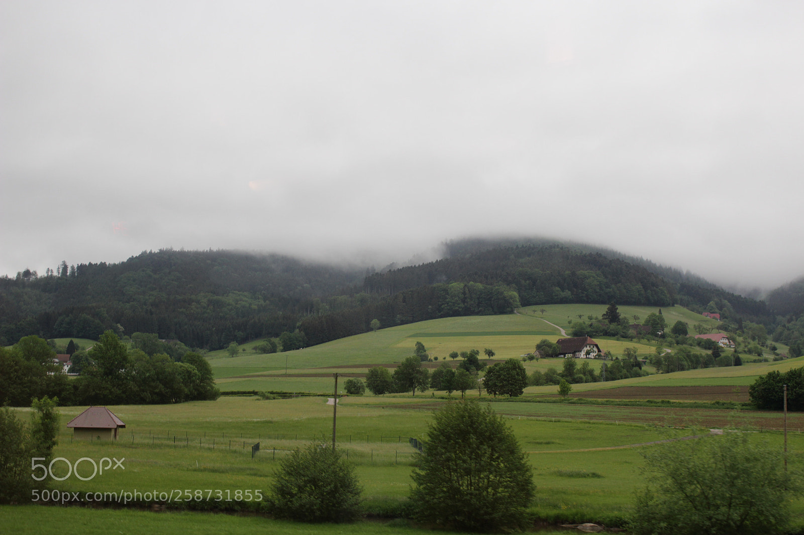 Canon EOS 100D (EOS Rebel SL1 / EOS Kiss X7) sample photo. The black forest photography