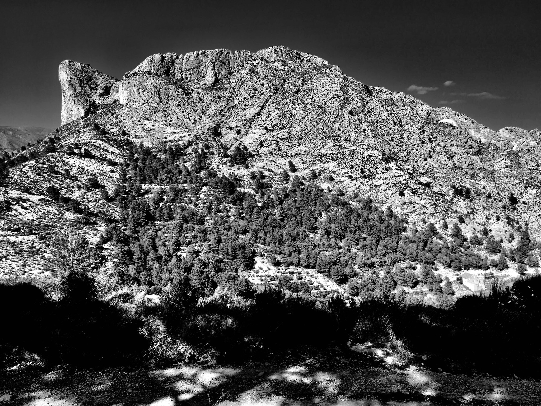 Apple iPad Pro sample photo. Els collons de toni photography