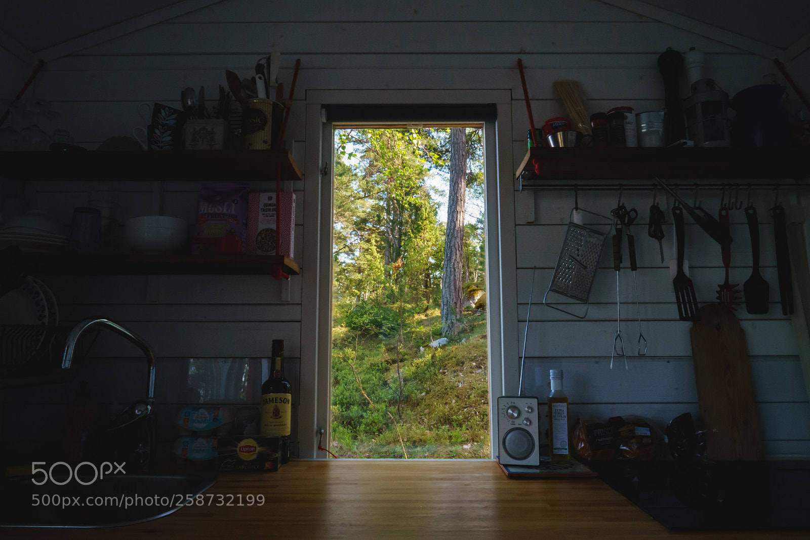 Sony a7 II sample photo. Cabin in the woods photography