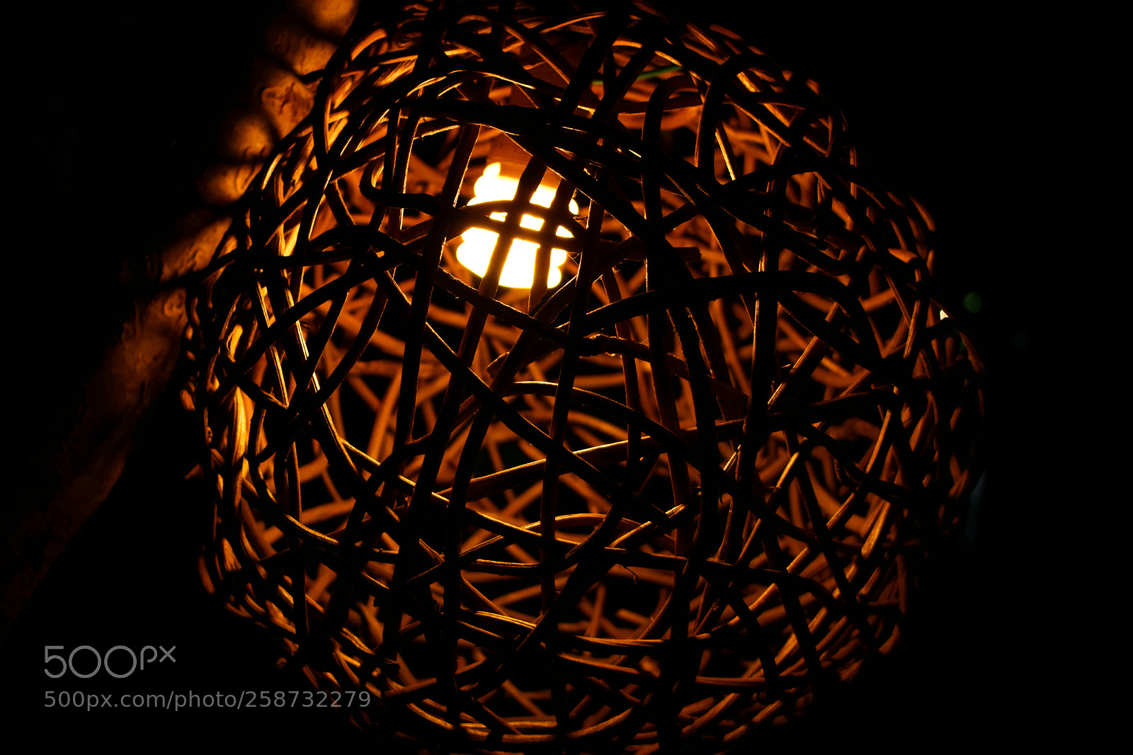 Nikon D5300 sample photo. Untitled photography