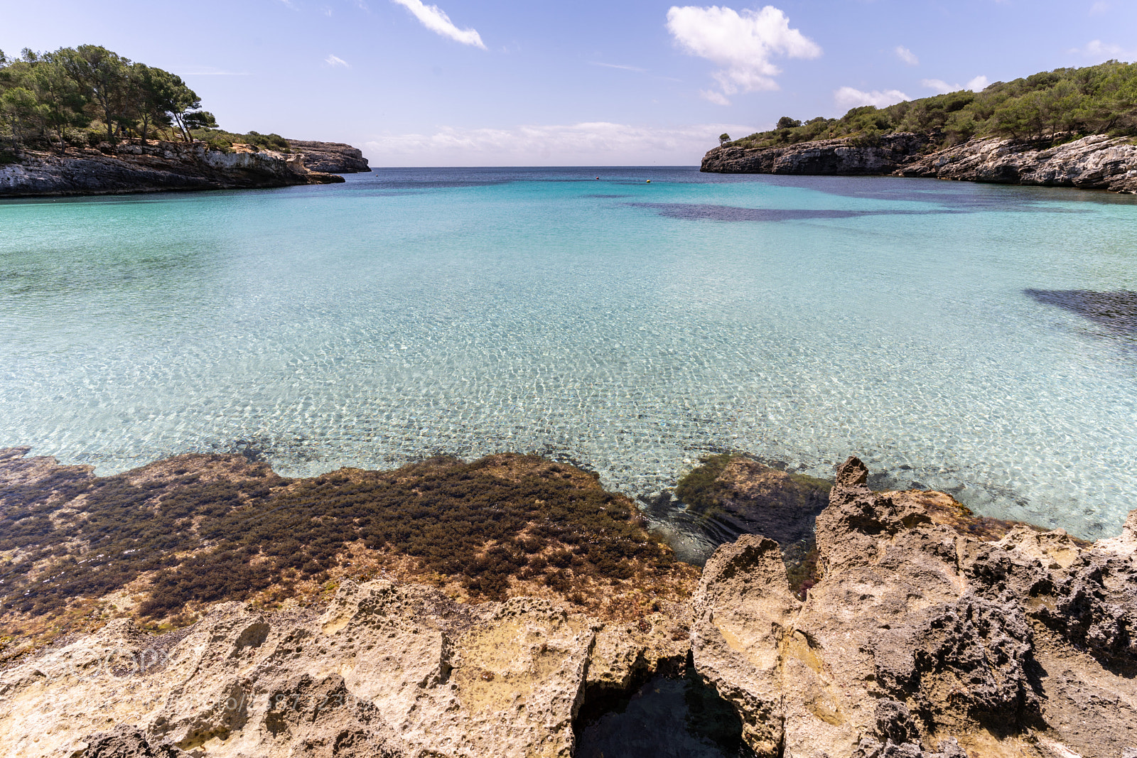 Sony a7 III sample photo. Paradise found photography