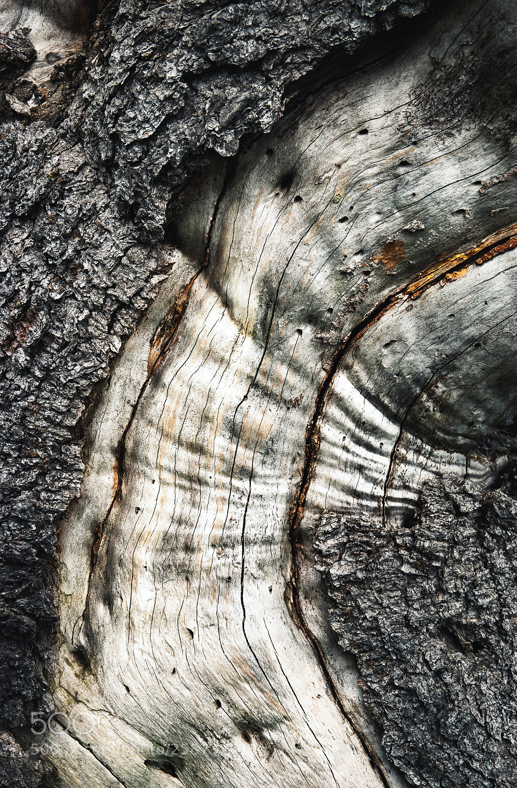 Nikon D5500 sample photo. Detail of an old photography