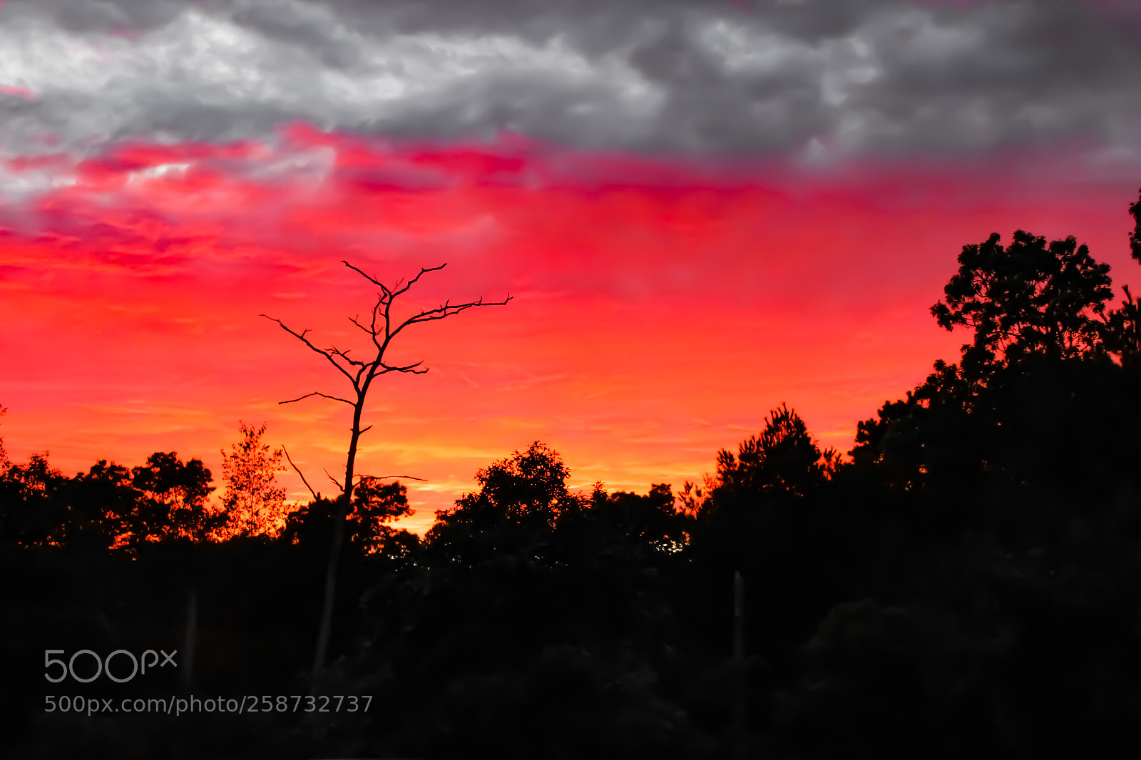 Canon EOS 1300D (EOS Rebel T6 / EOS Kiss X80) sample photo. The african skies. photography