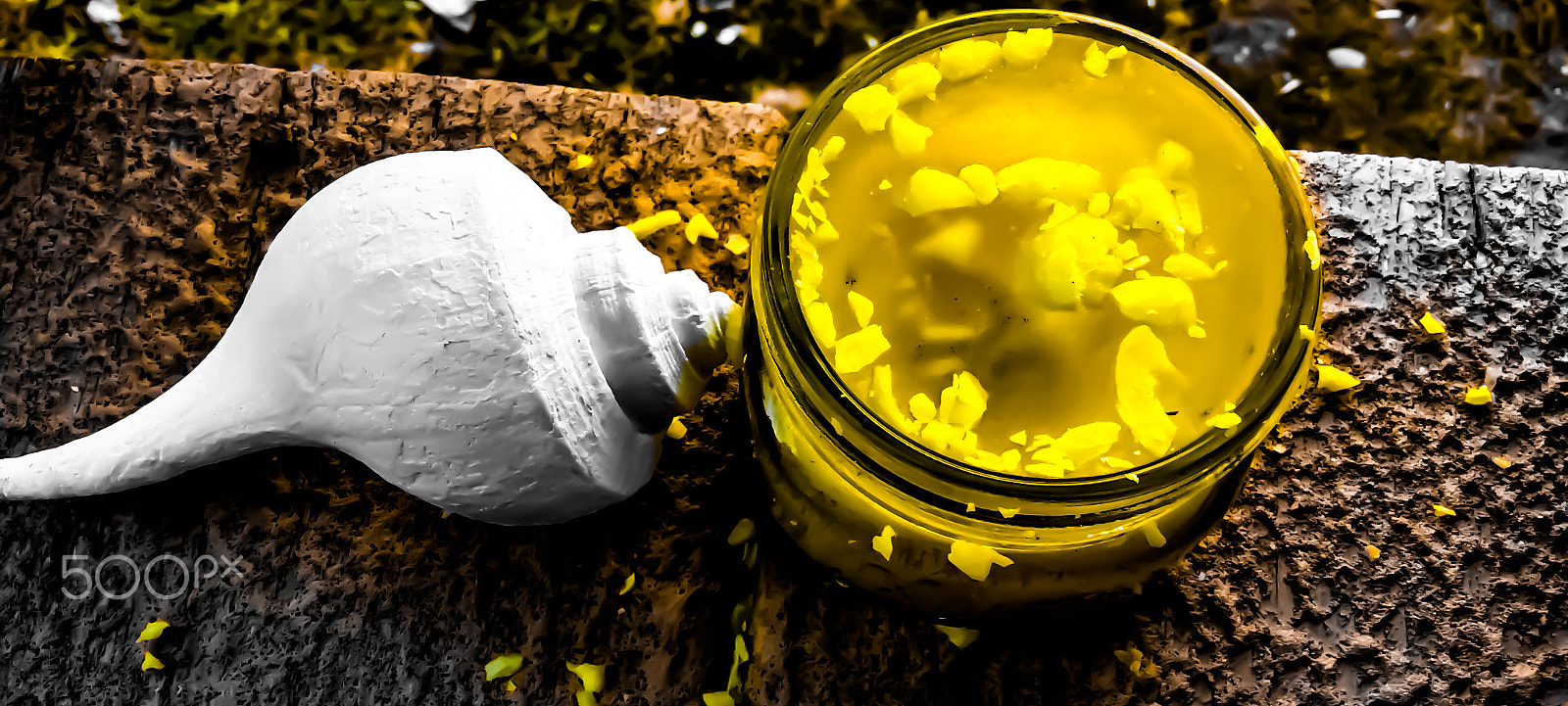 Apple iPad mini 2 sample photo. Conch shell candle. photography