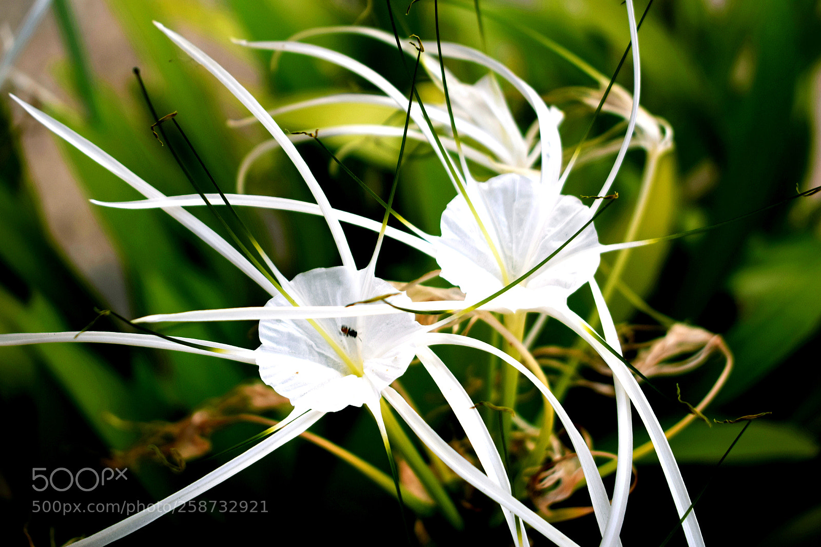 Nikon D5300 sample photo. Untitled photography
