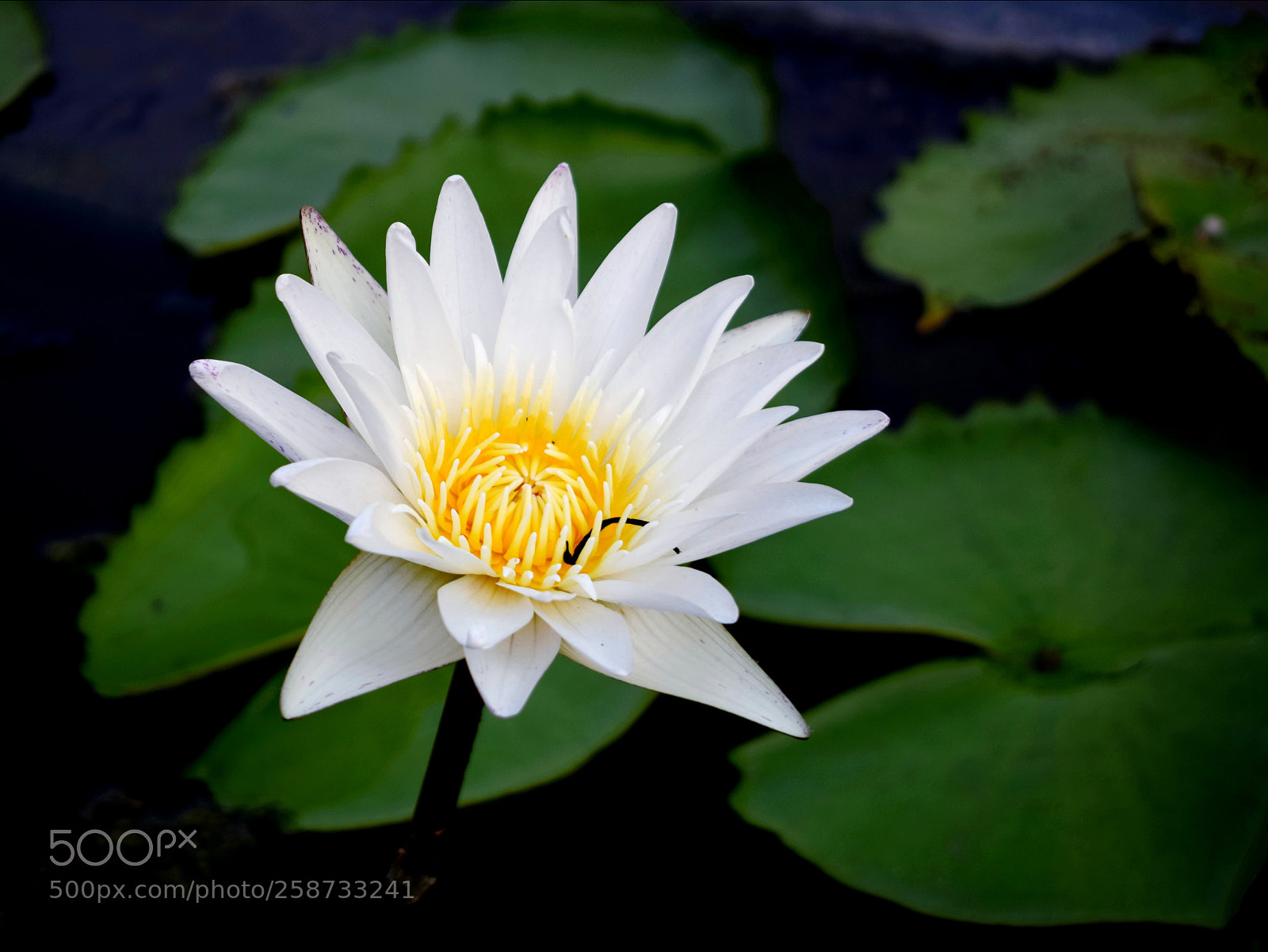 Nikon D5300 sample photo. Untitled photography