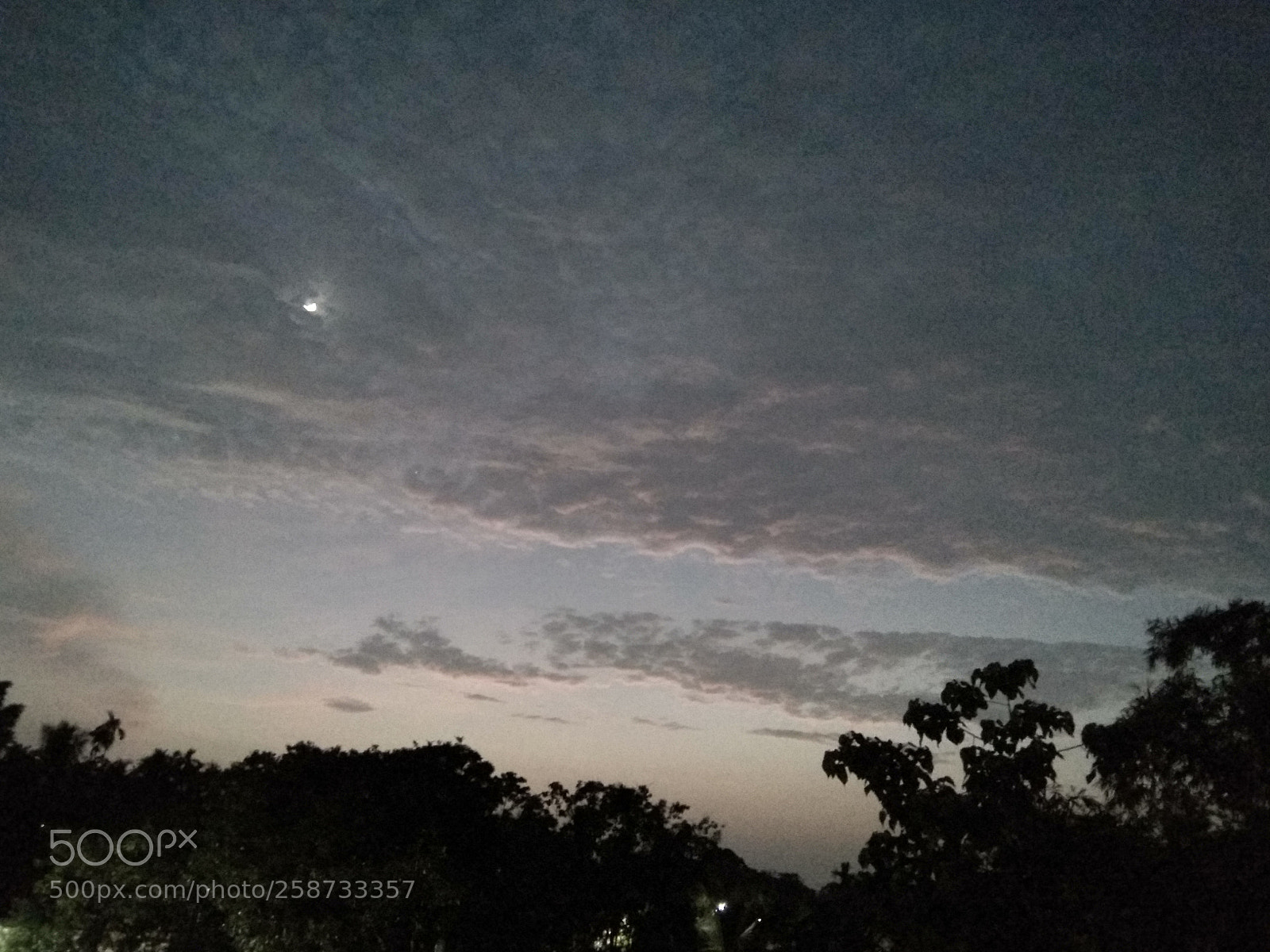 Xiaomi Redmi Note 4 sample photo. Untitled photography