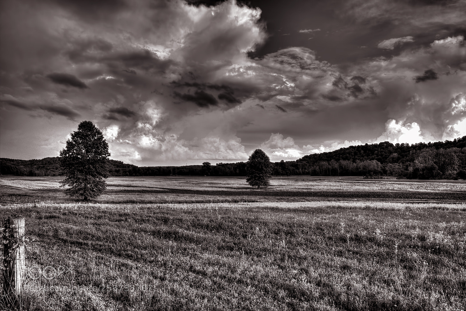 Nikon D7100 sample photo. Open field photography