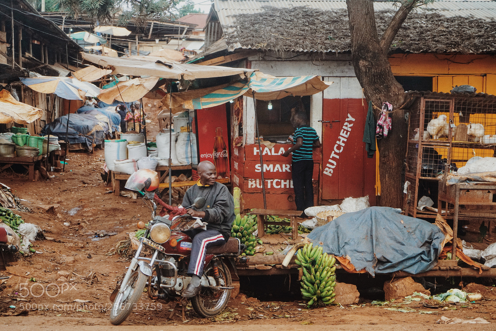 Sony a7R II sample photo. Untitled photography