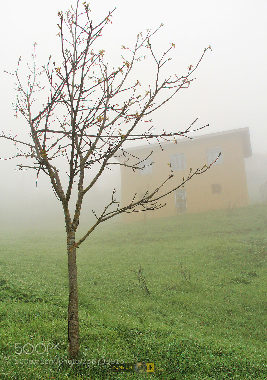 Canon EOS 60D sample photo. Fogbound photography